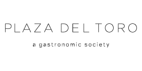 PLAZA DEL TORO